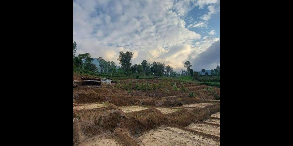 Jual Tanah Murah Daerah Cempaka Atas Kota Batu Jual Tanah Murah Daerah Cempaka Atas Kota Batu