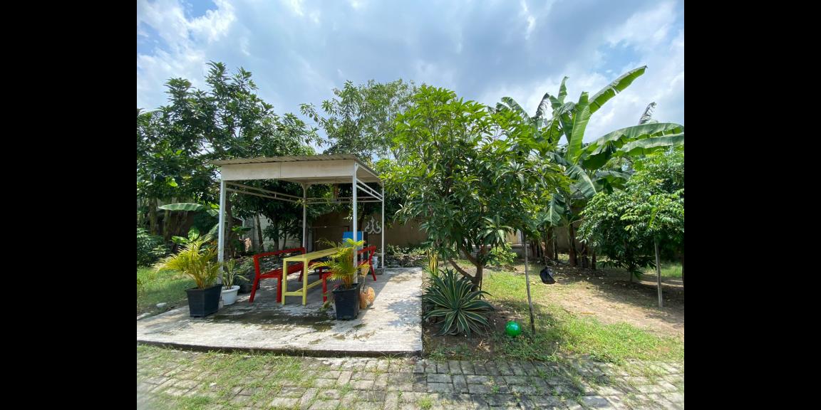 Jual Rumah Bonus Tanah di Mutiara Regency Sidoarjo Jual Rumah Bonus Tanah di Mutiara Regency Sidoarjo