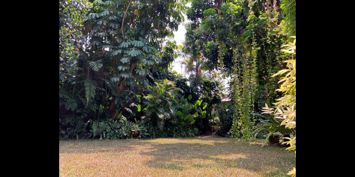 Dijual Rumah Luas di Jalan Bangka, Jakarta Selatan Dijual Rumah Luas di Jalan Bangka, Jakarta Selatan