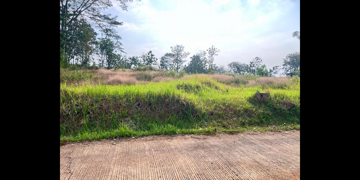 Tanah 8200m 200rb/m Kerjo Karanganyar Utara Tanah 8200m 200rb/m Kerjo Karanganyar Utara