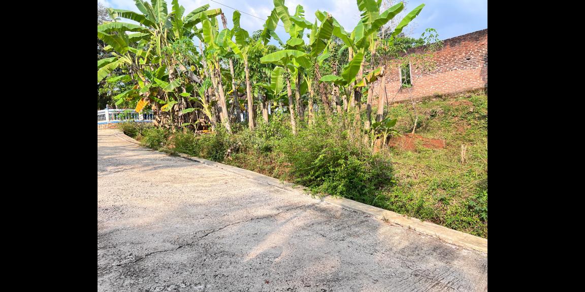 Tanah Super Datar 300rb/m 2000m Karanganyar Utara Tanah Super Datar 300rb/m 2000m Karanganyar Utara