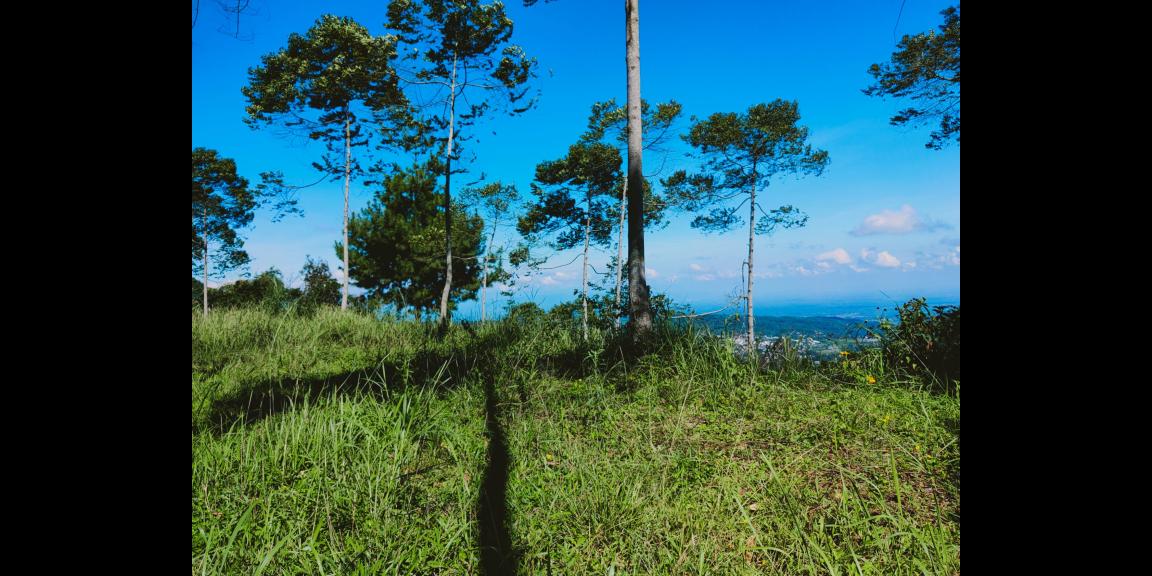 Dijual Tanah Strategis dibangun Villa/Hotel Kemuning Karanganyar Dijual Tanah Strategis dibangun Villa/Hotel Kemuning Karanganyar