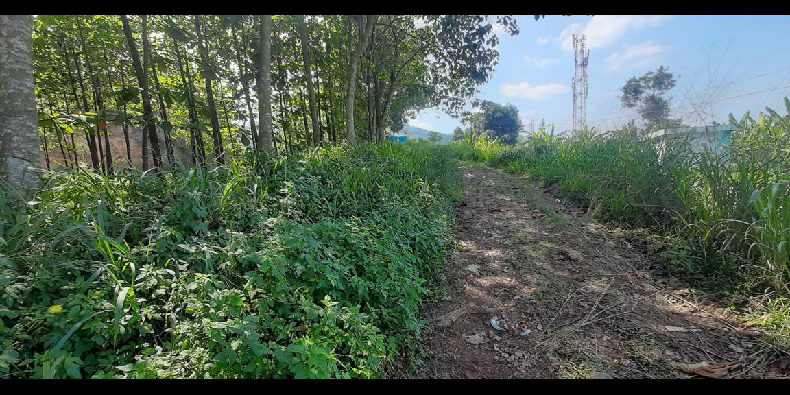 TANAH KOMERSIAL MAIN ROAD RAYA BATUJAJAR BANDUNG BARAT TANAH KOMERSIAL MAIN ROAD RAYA BATUJAJAR BANDUNG BARAT