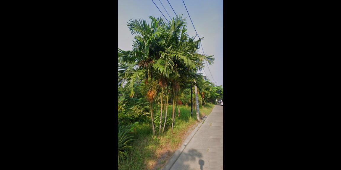 TANAH STRATEGIS UNTUK HUNIAN DAN KOMERSIAL DI KARANG SATRIA BEKASI TANAH STRATEGIS UNTUK HUNIAN DAN KOMERSIAL DI KARANG SATRIA BEKASI