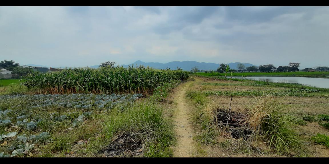 TANAH UNTUK PERUMAHAN DEKAT PODOMORO PARK BUAH BATU BANDUNG TANAH UNTUK PERUMAHAN DEKAT PODOMORO PARK BUAH BATU BANDUNG