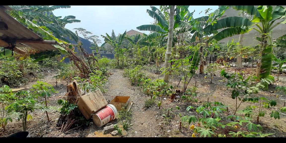 TANAH KOMERSIAL DI ANTAPANI BANDUNG TANAH KOMERSIAL DI ANTAPANI BANDUNG