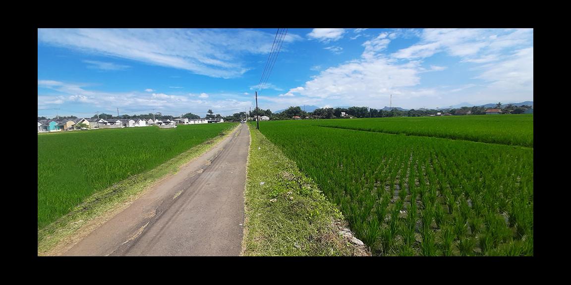 TANAH UNTUK PERUMAHAN ATAU PERMUKIMAN DI CILILIN BANDUNG BARAT TANAH UNTUK PERUMAHAN ATAU PERMUKIMAN DI CILILIN BANDUNG BARAT
