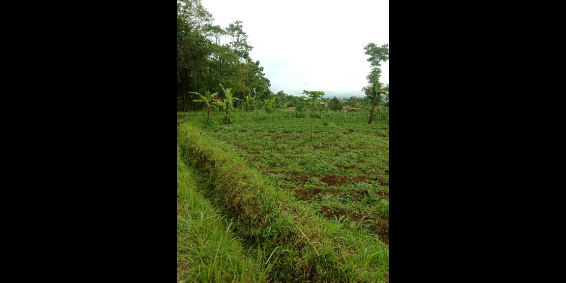 TANAH UNTUK PERUMAHAN DAN PERMUKIMAN DEKAT GT. PAMULIHAN TANJUNGSARI SUMEDANG TANAH UNTUK PERUMAHAN DAN PERMUKIMAN DEKAT GT. PAMULIHAN TANJUNGSARI SUMEDANG