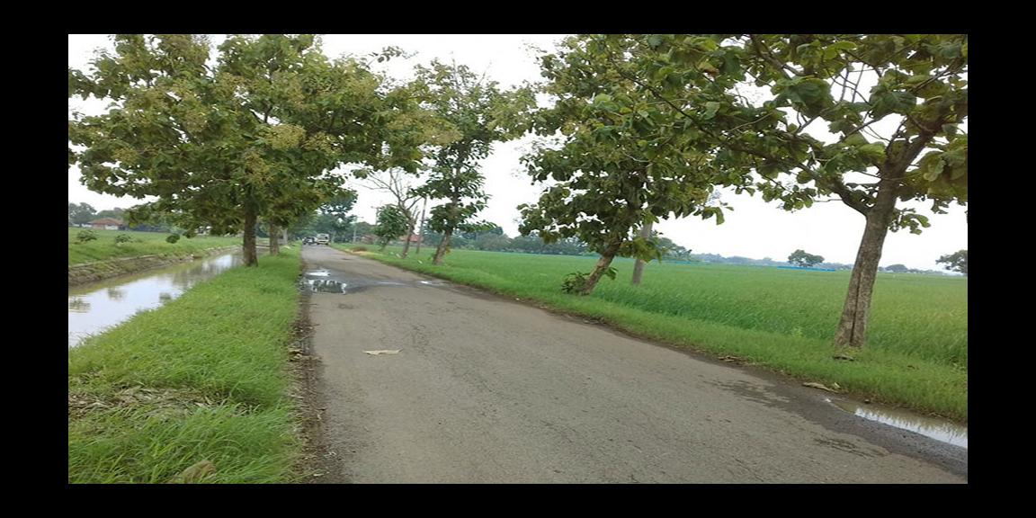 TANAH UNTUK INVESTASI DI KAWASAN BERKEMBANG DEKAT GT. SUMBERJAYA, CIPALI-MAJALENGKA TANAH UNTUK INVESTASI DI KAWASAN BERKEMBANG DEKAT GT. SUMBERJAYA, CIPALI-MAJALENGKA