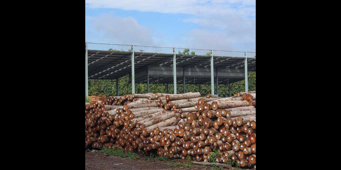 Jual Pabrik Masih Aktif di daerah Tunggorono Jombang Jual Pabrik Masih Aktif di daerah Tunggorono Jombang