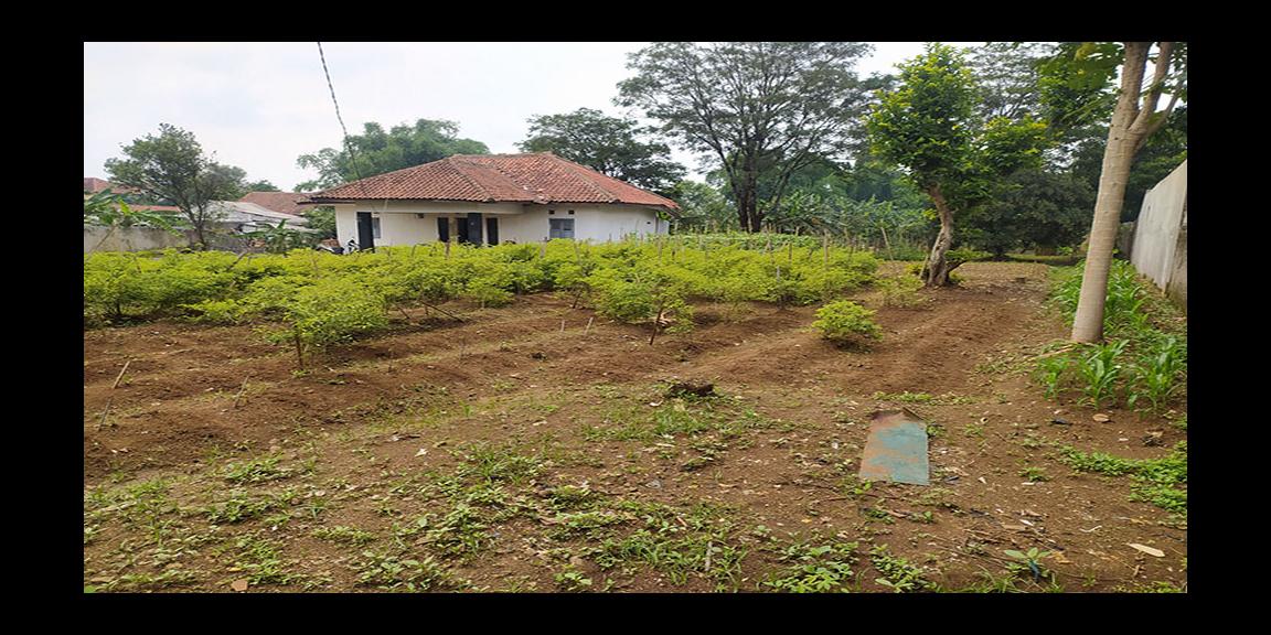 TANAH 1023 M2 BONUS RUMAH SERASA VILLA SUASANA PEDESAAN DEKAT STASIUN WHOOSH TEGALLUAR BANDUNG TANAH 1023 M2 BONUS RUMAH SERASA VILLA SUASANA PEDESAAN DEKAT STASIUN WHOOSH TEGALLUAR BANDUNG
