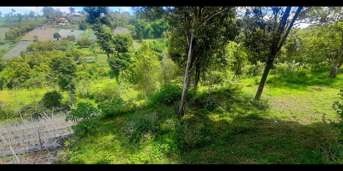 TANAH HUNIAN DAN KOMERSIL DI CIUMBULEUIT BANDUNG TANAH HUNIAN DAN KOMERSIL DI CIUMBULEUIT BANDUNG