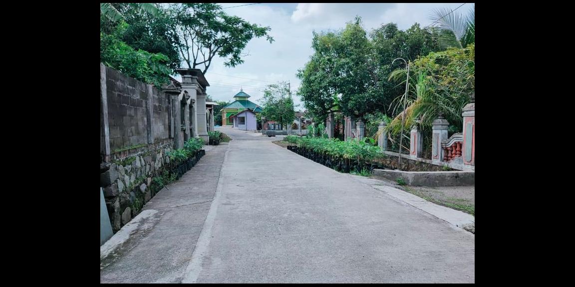 Jual Rumah Mewah 200m² Jirapan Masaran Sragen Jual Rumah Mewah 200m² Jirapan Masaran Sragen