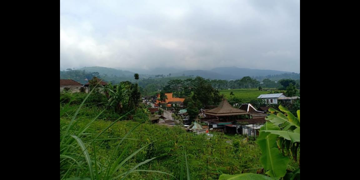 Tanah Idaman View Bukit Perkebunan Teh Kemuning Ngargoyoso Karanganyar Tanah Idaman View Bukit Perkebunan Teh Kemuning Ngargoyoso Karanganyar