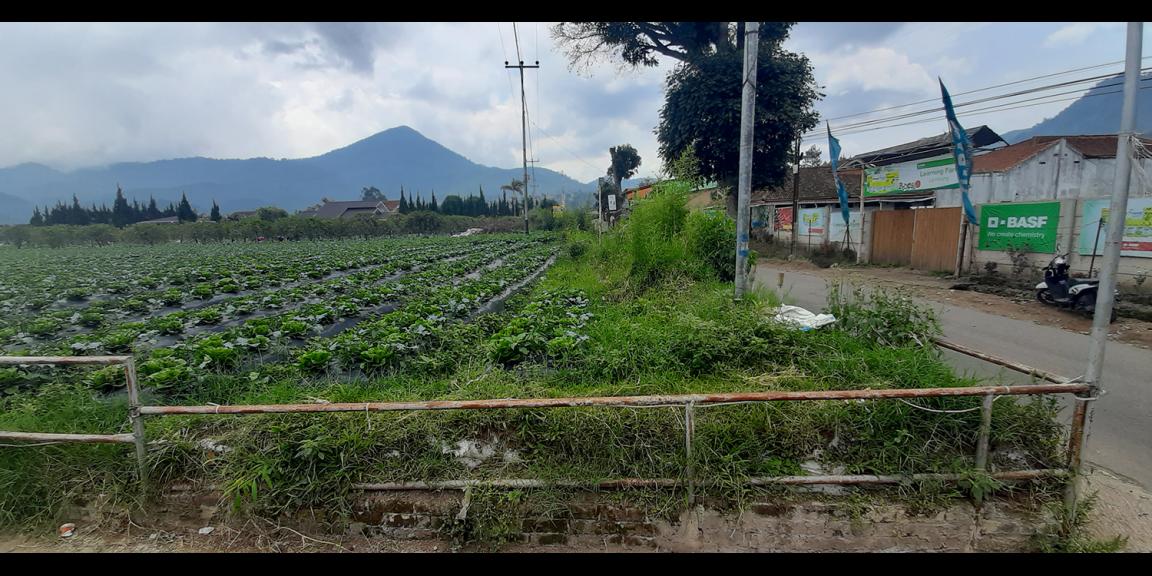 TANAH DI KAWASAN LEMBANG BANDUNG TANAH DI KAWASAN LEMBANG BANDUNG