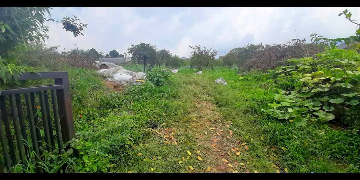 TANAH DI KAWASAN LEMBANG BANDUNG TANAH DI KAWASAN LEMBANG BANDUNG