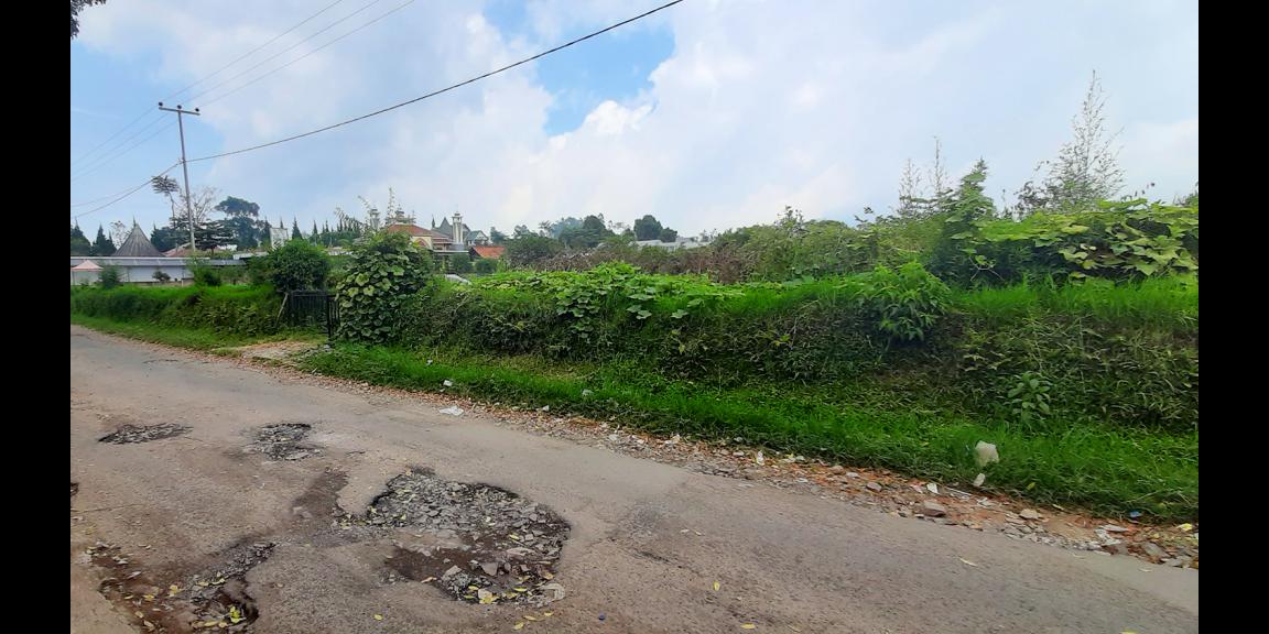 TANAH DI KAWASAN LEMBANG BANDUNG TANAH DI KAWASAN LEMBANG BANDUNG