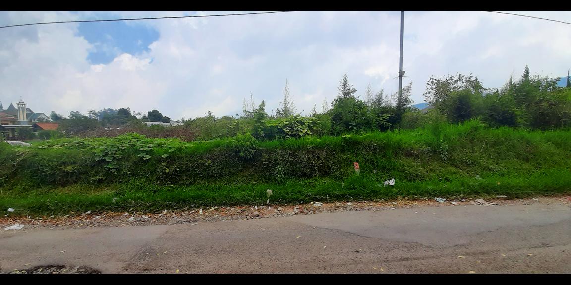 TANAH DI KAWASAN LEMBANG BANDUNG TANAH DI KAWASAN LEMBANG BANDUNG