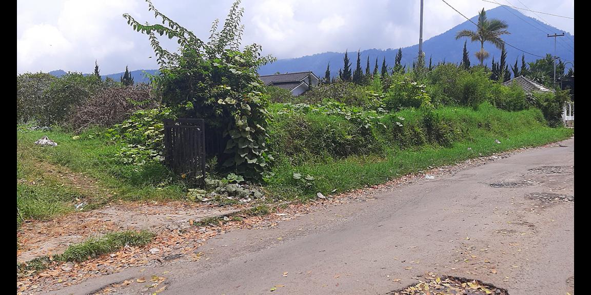 TANAH DI KAWASAN LEMBANG BANDUNG TANAH DI KAWASAN LEMBANG BANDUNG