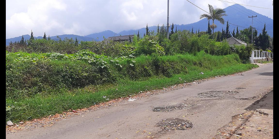 TANAH DI KAWASAN LEMBANG BANDUNG TANAH DI KAWASAN LEMBANG BANDUNG