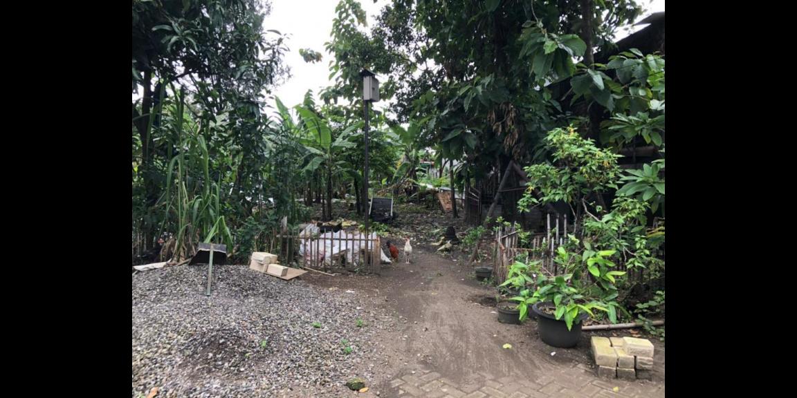 Jual Pabrik Bekas Pabrik Rokok di Desa Semambung Sidoarjo Jual Pabrik Bekas Pabrik Rokok di Desa Semambung Sidoarjo