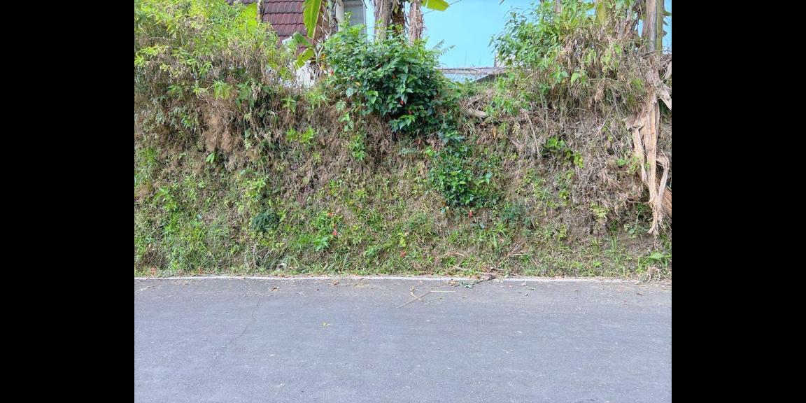 Tanah Datar View Kebun Teh & Jembatan Kaca Tanah Datar View Kebun Teh & Jembatan Kaca