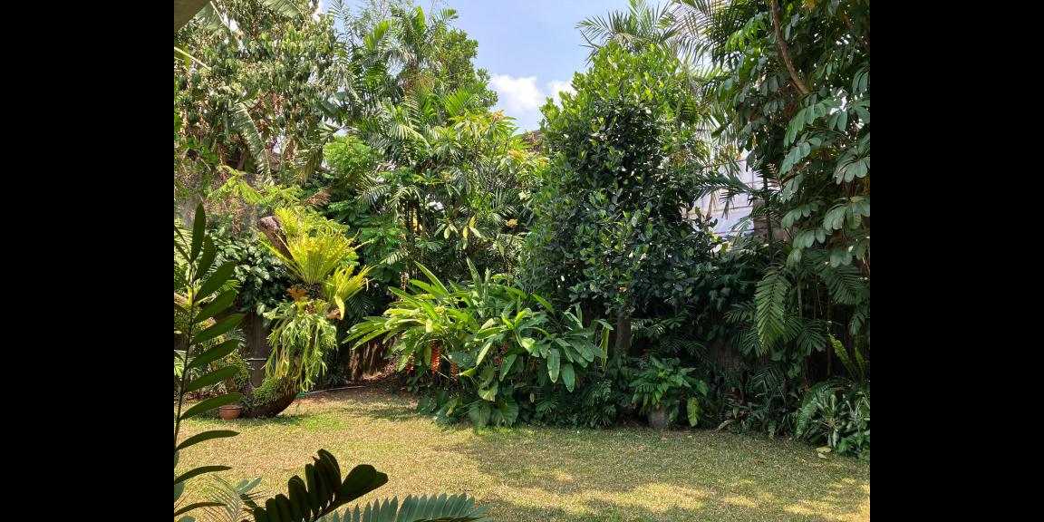 Dijual Rumah Luas di Jalan Bangka, Jakarta Selatan Dijual Rumah Luas di Jalan Bangka, Jakarta Selatan