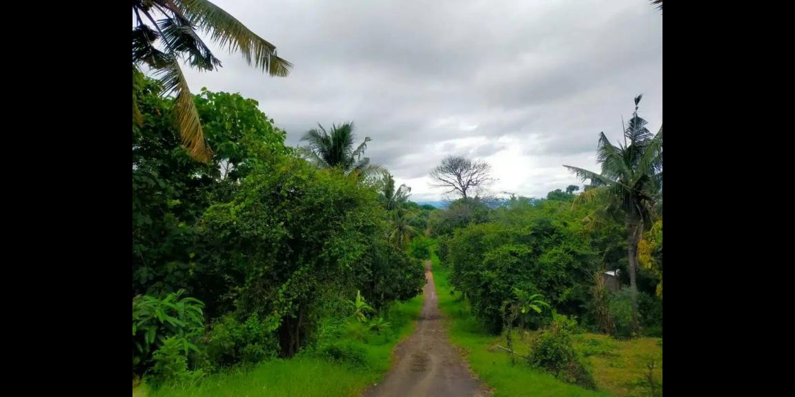 Tanah di Jalan Damai Daerah Kayu Putih Buleleng Tanah di Jalan Damai Daerah Kayu Putih Buleleng