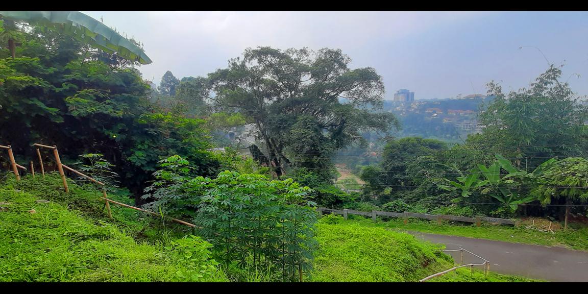 TANAH VIEW LEMBAH PAKAR KAWASAN DAGO BANDUNG TANAH VIEW LEMBAH PAKAR KAWASAN DAGO BANDUNG