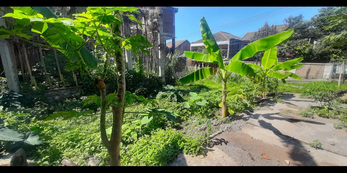 TANAH HUNIAN DAN KOMERSIAL SAYAP BOJONG KONENG BANDUNG TANAH HUNIAN DAN KOMERSIAL SAYAP BOJONG KONENG BANDUNG