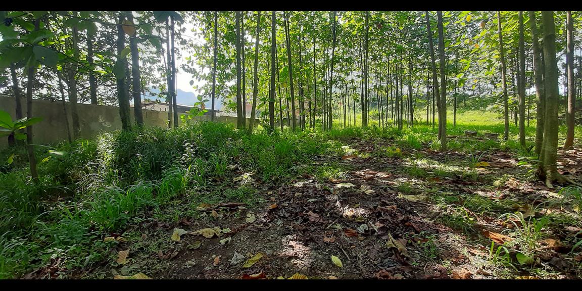 TANAH KOMERSIAL MAIN ROAD RAYA BATUJAJAR BANDUNG BARAT TANAH KOMERSIAL MAIN ROAD RAYA BATUJAJAR BANDUNG BARAT