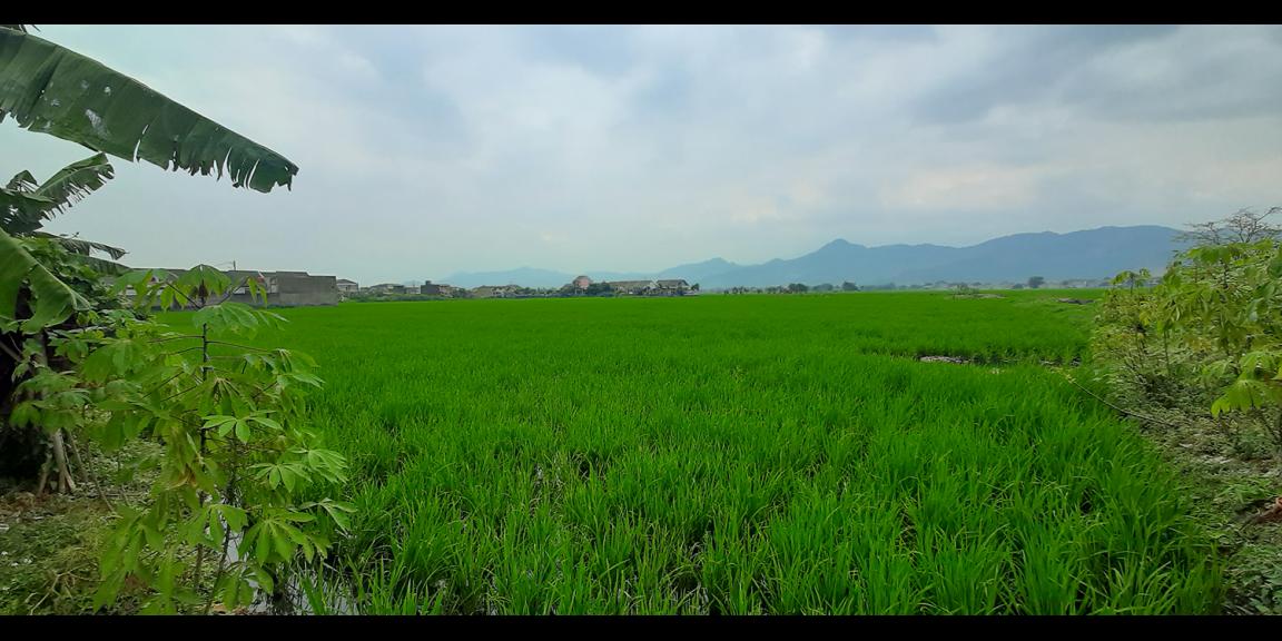 TANAH UNTUK PERUMAHAN DEKAT PODOMORO PARK BUAH BATU BANDUNG TANAH UNTUK PERUMAHAN DEKAT PODOMORO PARK BUAH BATU BANDUNG
