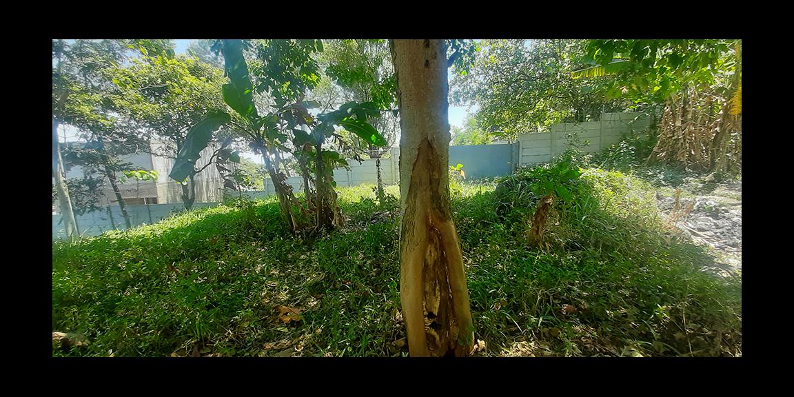 TANAH HUNIAN VIEW KOTA BANDUNG DI JALAN PASIR IMPUN BANDUNG TANAH HUNIAN VIEW KOTA BANDUNG DI JALAN PASIR IMPUN BANDUNG