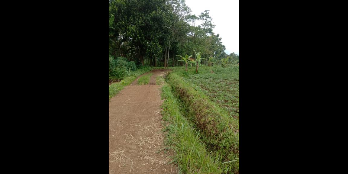 TANAH UNTUK PERUMAHAN DAN PERMUKIMAN DEKAT GT. PAMULIHAN TANJUNGSARI SUMEDANG TANAH UNTUK PERUMAHAN DAN PERMUKIMAN DEKAT GT. PAMULIHAN TANJUNGSARI SUMEDANG