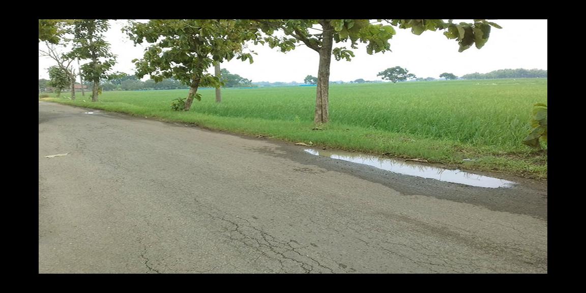 TANAH UNTUK INVESTASI DI KAWASAN BERKEMBANG DEKAT GT. SUMBERJAYA, CIPALI-MAJALENGKA TANAH UNTUK INVESTASI DI KAWASAN BERKEMBANG DEKAT GT. SUMBERJAYA, CIPALI-MAJALENGKA