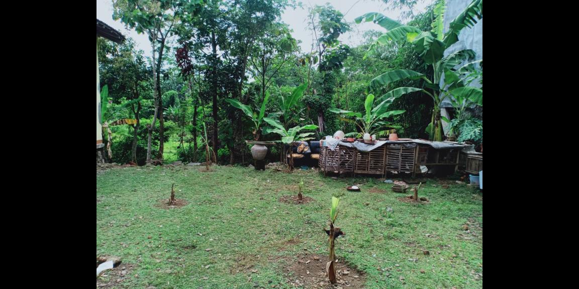 Dijual Tanah Strategis Jl Raya Batujamus-Sragen Dijual Tanah Strategis Jl Raya Batujamus-Sragen