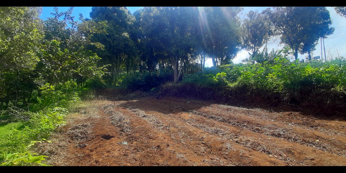 TANAH HUNIAN DAN KOMERSIL DI CIUMBULEUIT BANDUNG TANAH HUNIAN DAN KOMERSIL DI CIUMBULEUIT BANDUNG