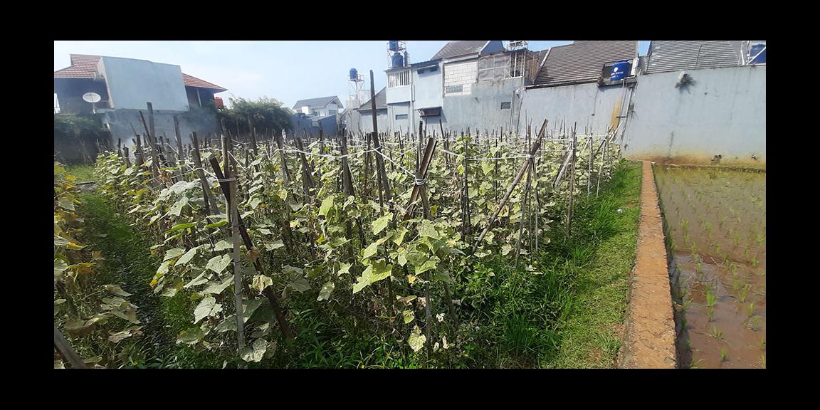 KAVLING 135 M2 MUKA 9 METER SHM AKSES MOBIL DI CISARANTEN KULON BANDUNG KAVLING 135 M2 MUKA 9 METER SHM AKSES MOBIL DI CISARANTEN KULON BANDUNG