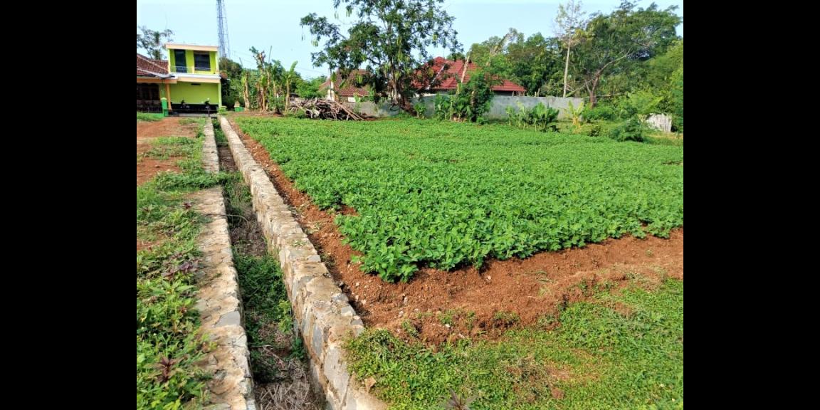 Jual Tanah 125 Juta Siap Dibangun Kerjo Karanganyar Jual Tanah 125 Juta Siap Dibangun Kerjo Karanganyar