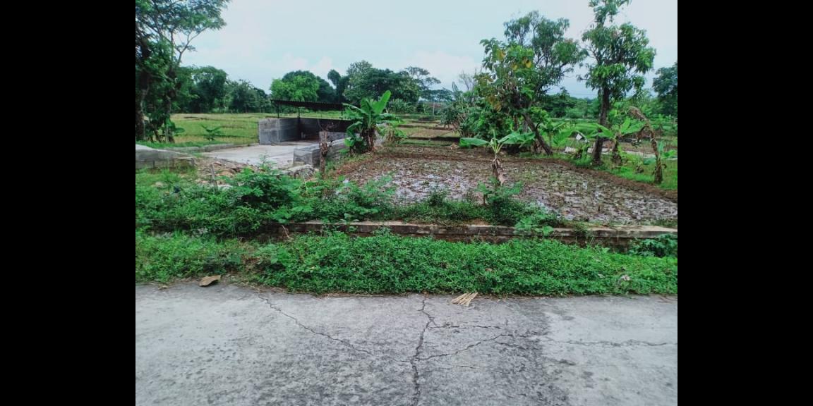 Jual Rumah Gudang 204m² Suroboyo Jirapan Masaran Sragen Jual Rumah Gudang 204m² Suroboyo Jirapan Masaran Sragen