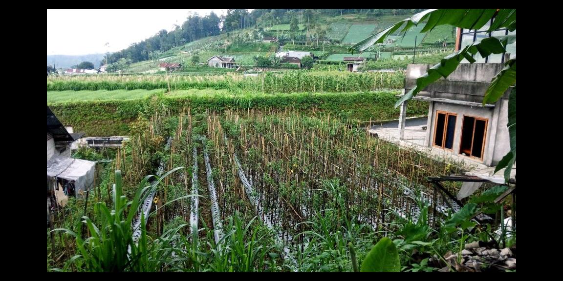 Dijual Tanah 284m² Kemuning Ngargoyoso Karanganyar Dijual Tanah 284m² Kemuning Ngargoyoso Karanganyar