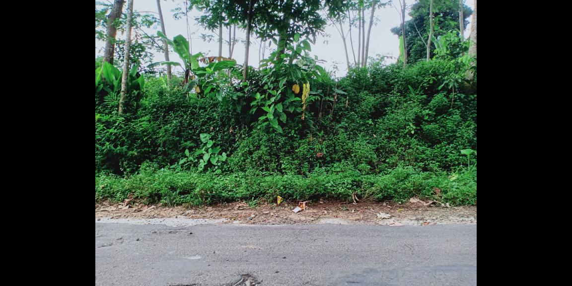 Dijual Tanah di Karangpandan Karanganyar Dijual Tanah di Karangpandan Karanganyar