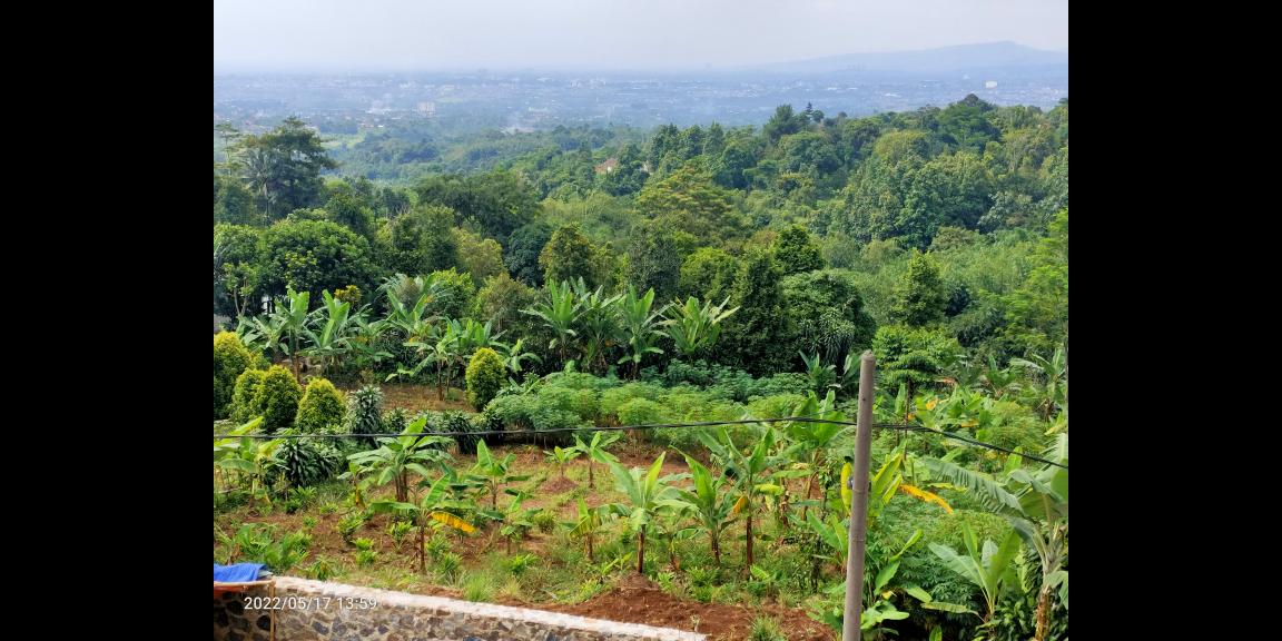 Jual Tanah di dataran tinggi Cijeruk Bogor View Indah Kota Bogor, Sentul dan Gunung Gede Jual Tanah di dataran tinggi Cijeruk Bogor View Indah Kota Bogor, Sentul dan Gunung Gede