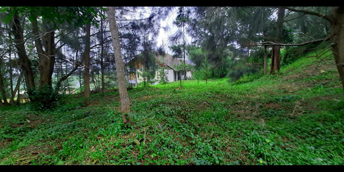 TANAH PADAT RESORT DAGO PAKAR BANDUNG TANAH PADAT RESORT DAGO PAKAR BANDUNG