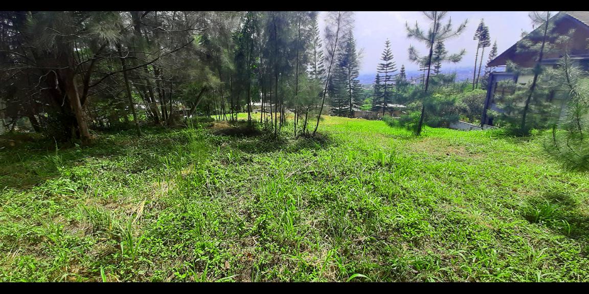 TANAH PADAT RESORT DAGO PAKAR BANDUNG TANAH PADAT RESORT DAGO PAKAR BANDUNG