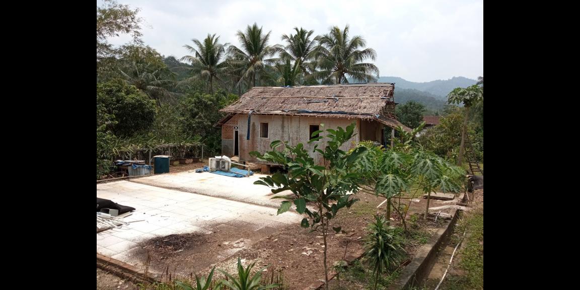 DIJUAL LAHAN KEBUN HOLTIKULTURA BUAH NAGA & TIN LINGKAR SELATAN, CILEGON DIJUAL LAHAN KEBUN HOLTIKULTURA BUAH NAGA & TIN LINGKAR SELATAN, CILEGON