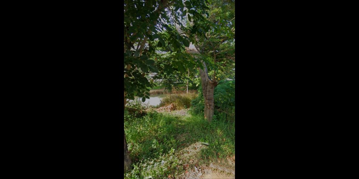 TANAH STRATEGIS UNTUK HUNIAN DAN KOMERSIAL DI KARANG SATRIA BEKASI TANAH STRATEGIS UNTUK HUNIAN DAN KOMERSIAL DI KARANG SATRIA BEKASI