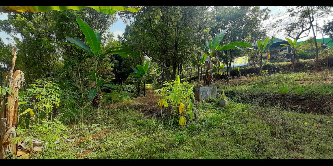 TANAH KOMERSIAL MAIN ROAD ARCAMANIK SINDANGLAYA BANDUNG TANAH KOMERSIAL MAIN ROAD ARCAMANIK SINDANGLAYA BANDUNG