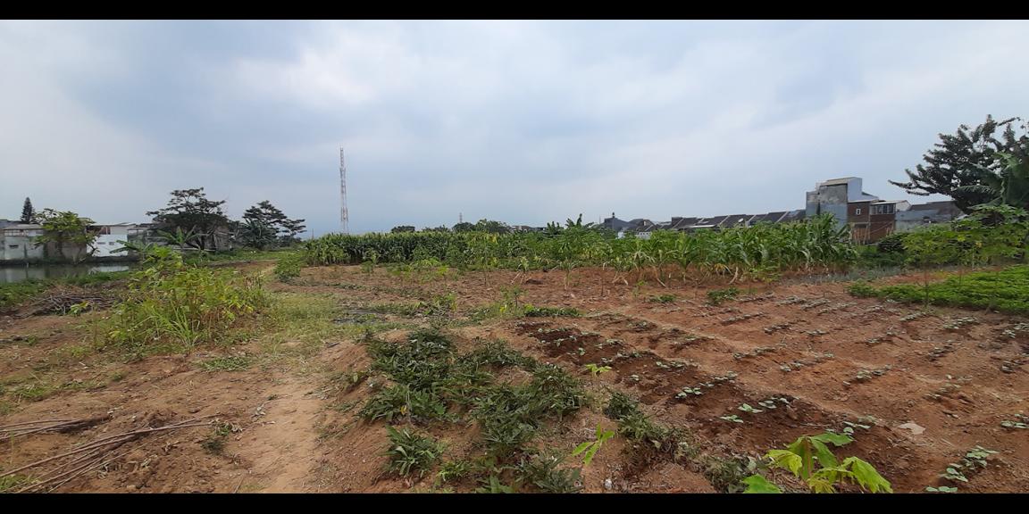 TANAH UNTUK PERUMAHAN DEKAT PODOMORO PARK BUAH BATU BANDUNG TANAH UNTUK PERUMAHAN DEKAT PODOMORO PARK BUAH BATU BANDUNG