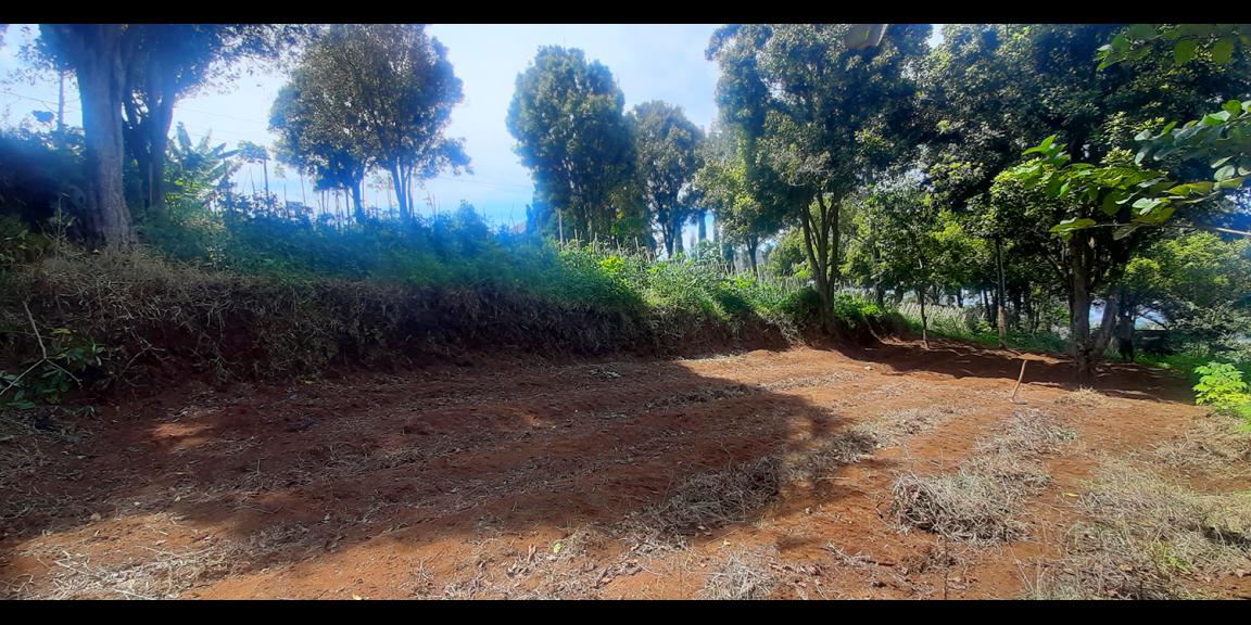 TANAH HUNIAN DAN KOMERSIL DI CIUMBULEUIT BANDUNG TANAH HUNIAN DAN KOMERSIL DI CIUMBULEUIT BANDUNG